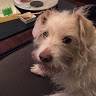 Melissa