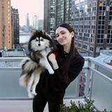 Aimee