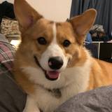 Amanda