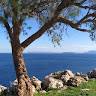 Μαρία