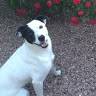Maria