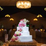 Gina