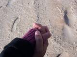 chirpchirp