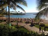 Paradise