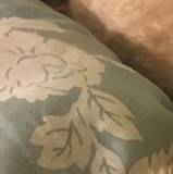 Kati