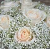 AlmostMRS
