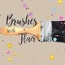 Brushes