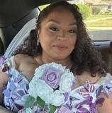 Grisel