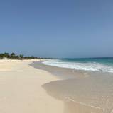 Cindy