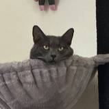 Peter