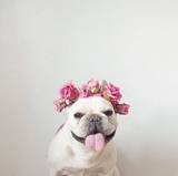 Macy