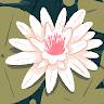 Lilly