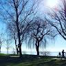 Madison