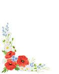 User857121