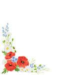 User857121