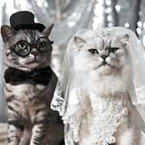 Btbride
