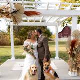 Tori