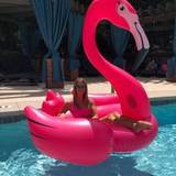 Lauren