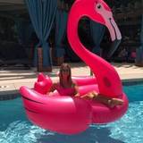 Lauren