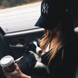 Dakota