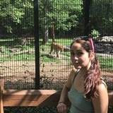 Mireya