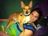 Aley