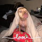 Krysta