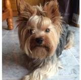 Mindy