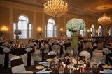newtomich