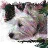 Anaise