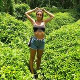 Brittany