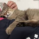 Bella