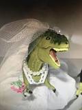Bridezilla