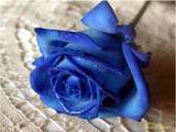 User963069