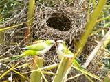 Kelly S.