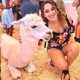 Mayra