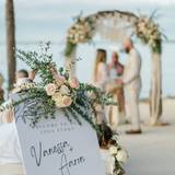 Vane