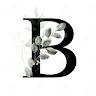 B Tran