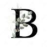 B Tran