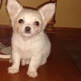 Missy