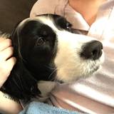 Maggie