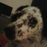 Claudia