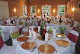 Maria - Holiday Celebration / Ocala FL