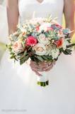 happybride 041616