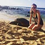 Brittany
