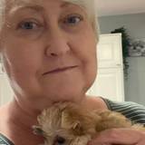 Dianne