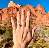 Holly