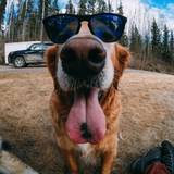 Sam