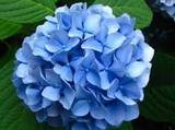 User2814812