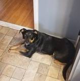 Tim